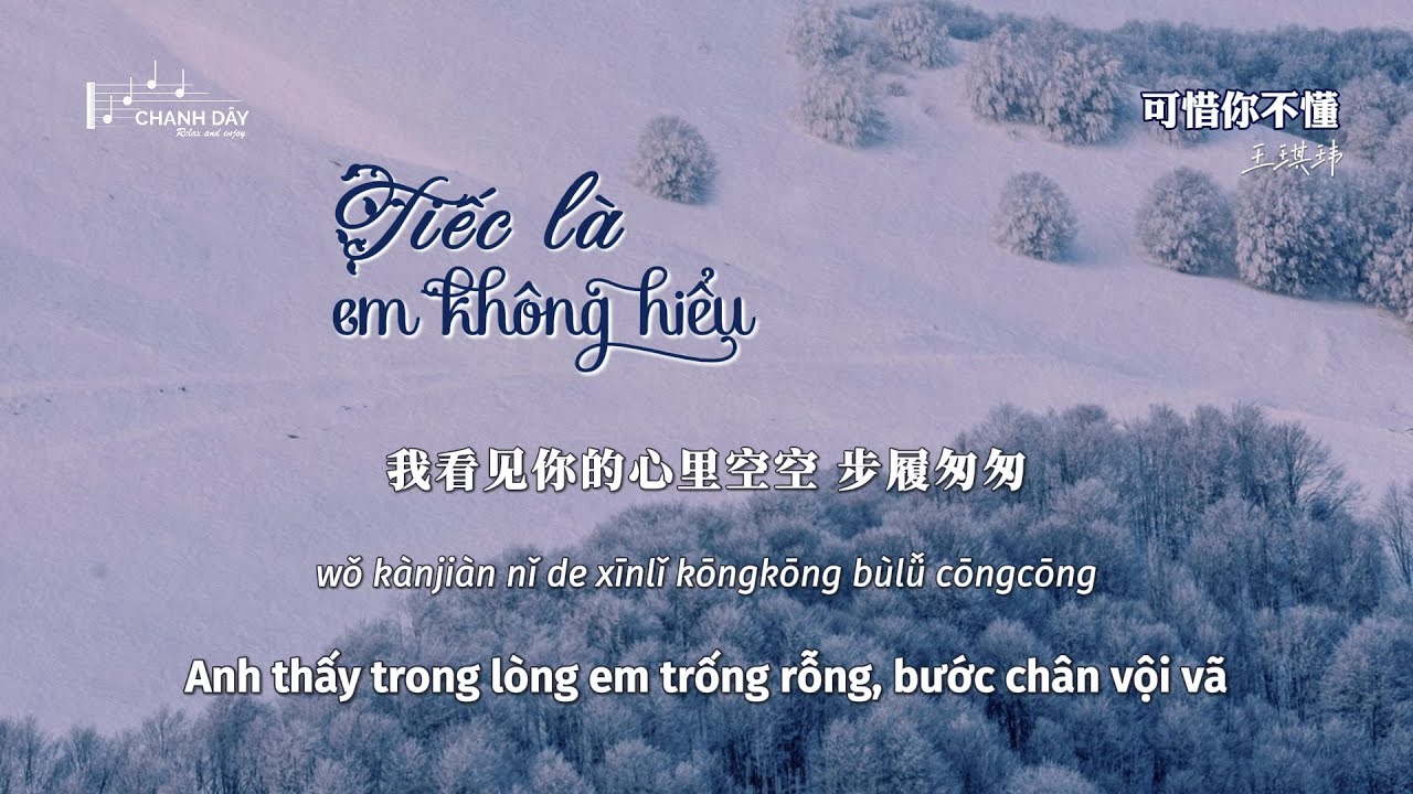 [Vietsub] Tiếc là em không hiểu (可惜你不懂) - Vương Kỳ Vỹ (王琪玮)