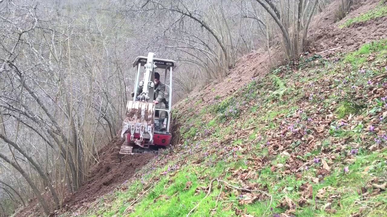 Takeuchi TB 216  Sakarya karasu fındık bahçesi teras yapımı/miniesxavatör/  Part 3