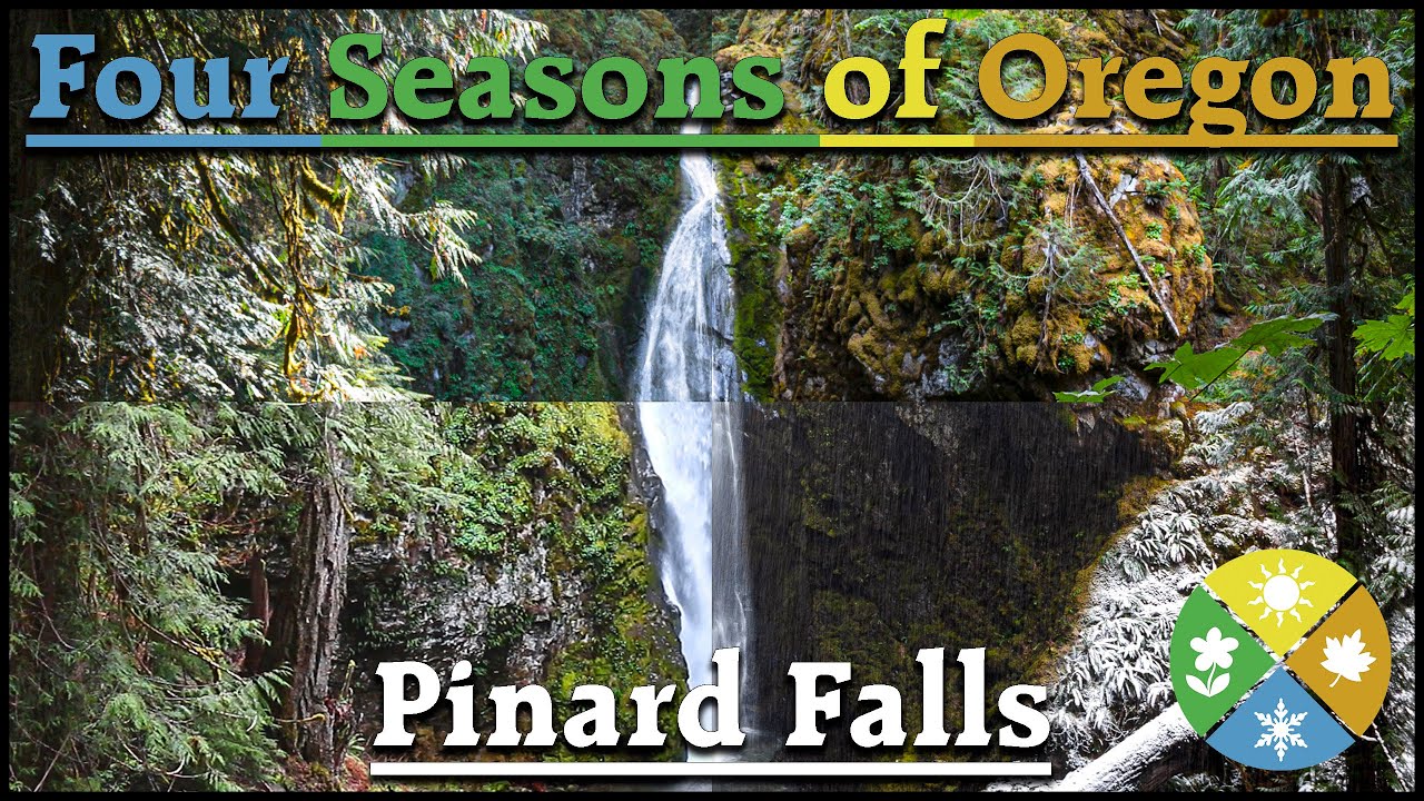 Visiting a Waterfall During All Four Seasons