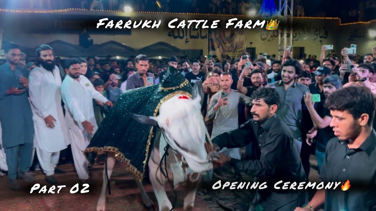 Farrukh Cattle Farm | Grand Opening | PART 02 | FatehJangi Bulls 2025 - Biggest Opening of 2025