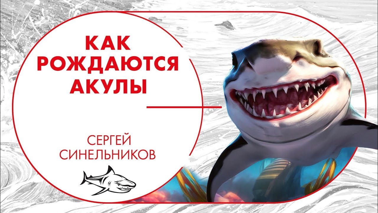 Как рождаются акулы
