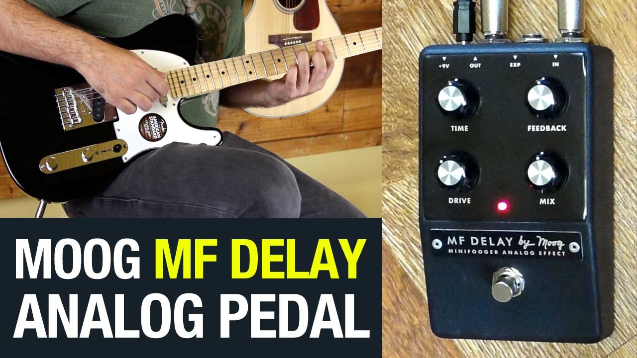 Moog MF Delay | MiniFooger Analog Delay Pedal Demo