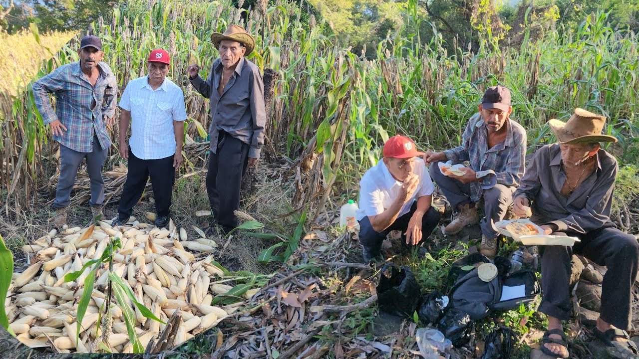 Almorzando en la Milpa Con los Vijitos mas trabajadores 