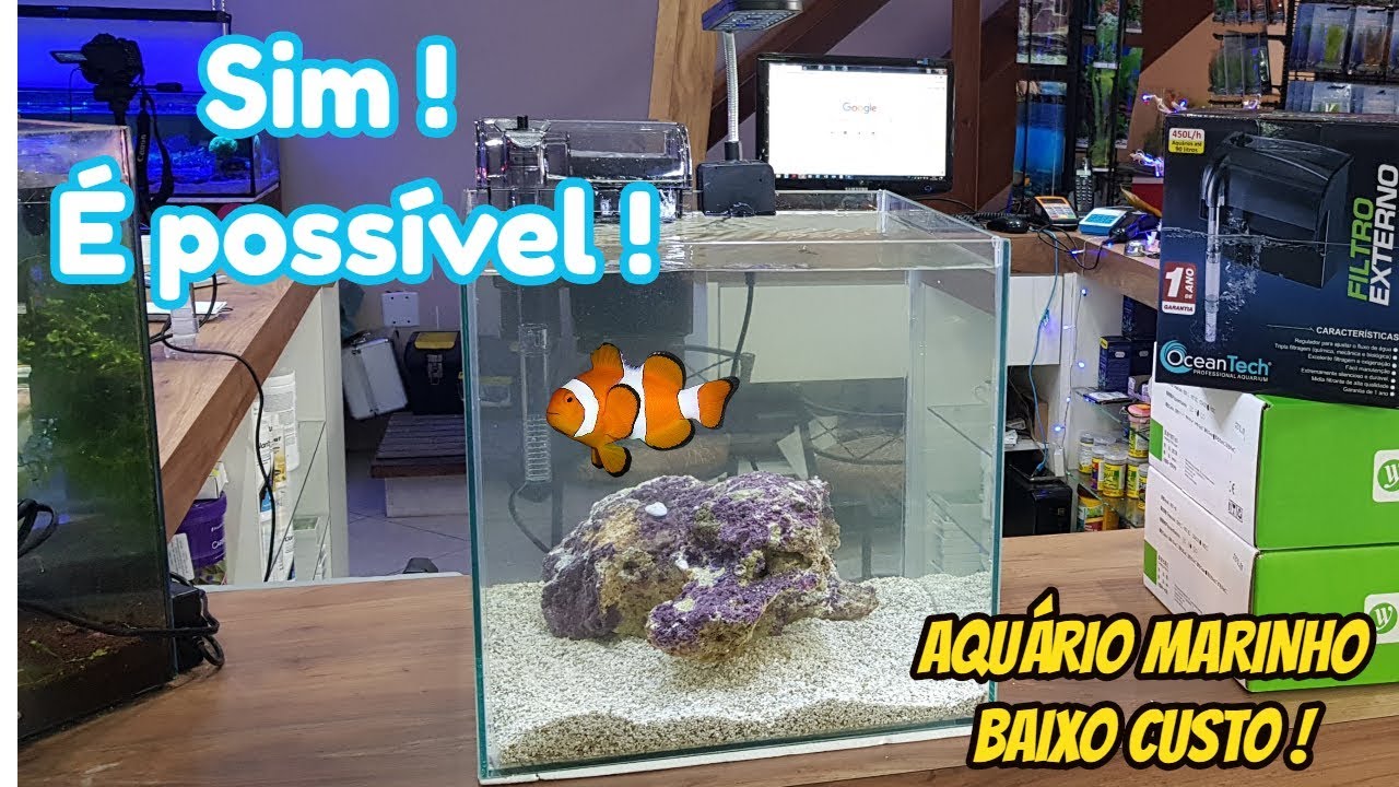 Monte hoje mesmo seu 1º Aquário Marinho, sem gastar muito.