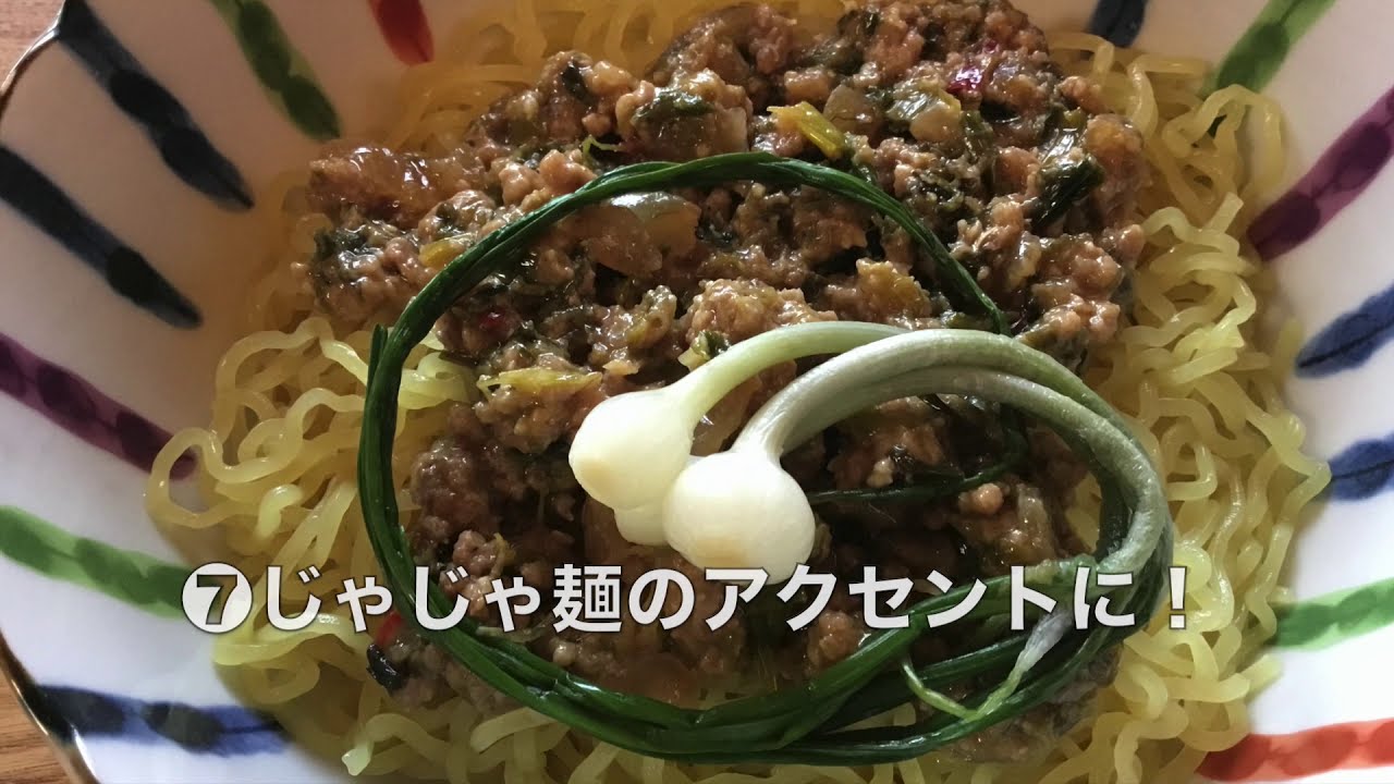 野食塾Vol.３　ノビルとアサツキの見分け方　春の味11種類のレシピをご紹介！