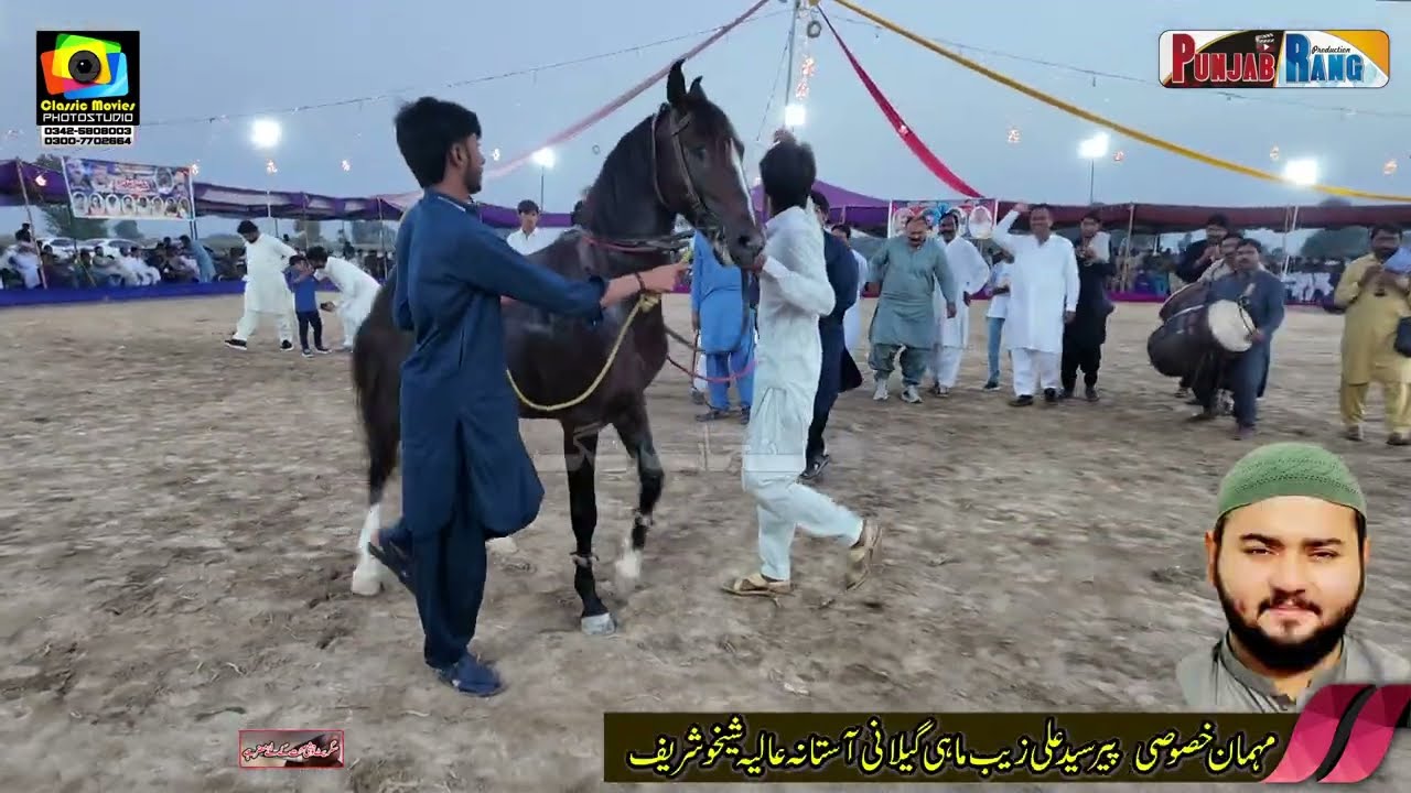 Arman l Nokar Ali Da 9 October 2025 lHorse Dance 13 11 L Chichawatni Sahiwal Rai Sakindar Hiyat l