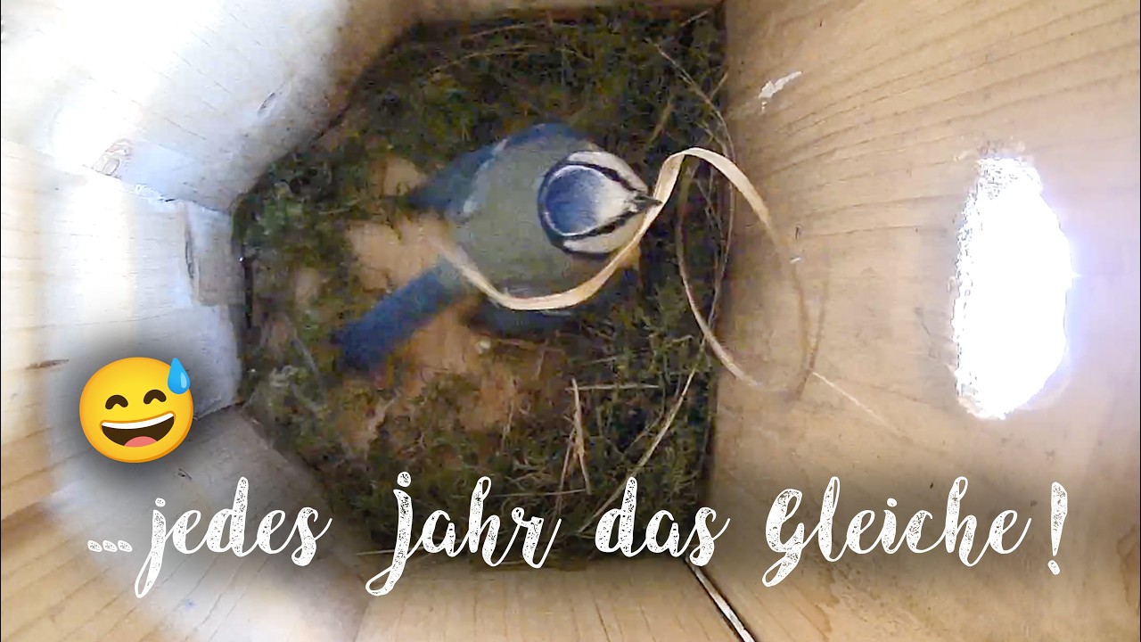 Jedes Jahr der gleiche Kampf! 😅
