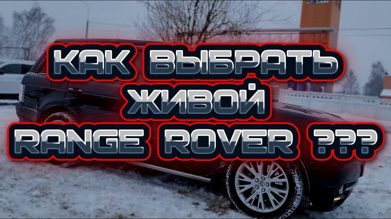 Как купить ЖИВОЙ Range Rover???