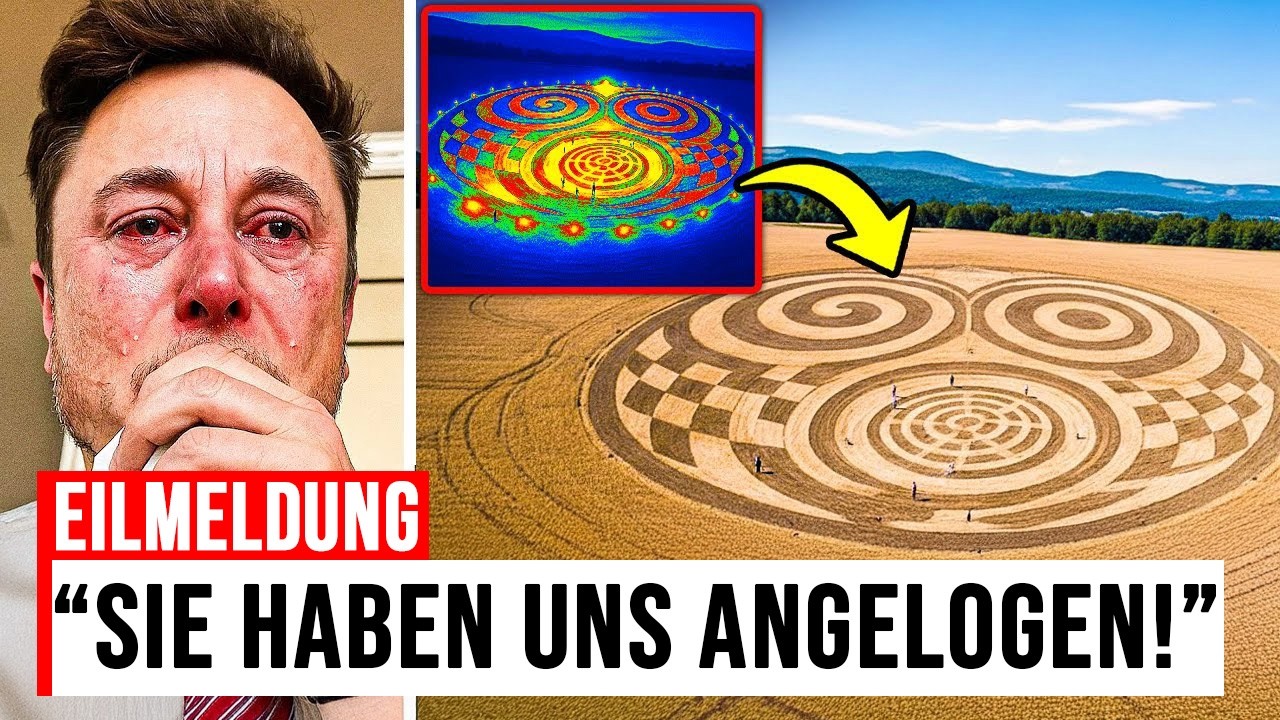DEUTSCHLAND'S KORNKREIS – Die Antwort von GROK AI ließ sogar ELON MUSK sprachlos zurück!