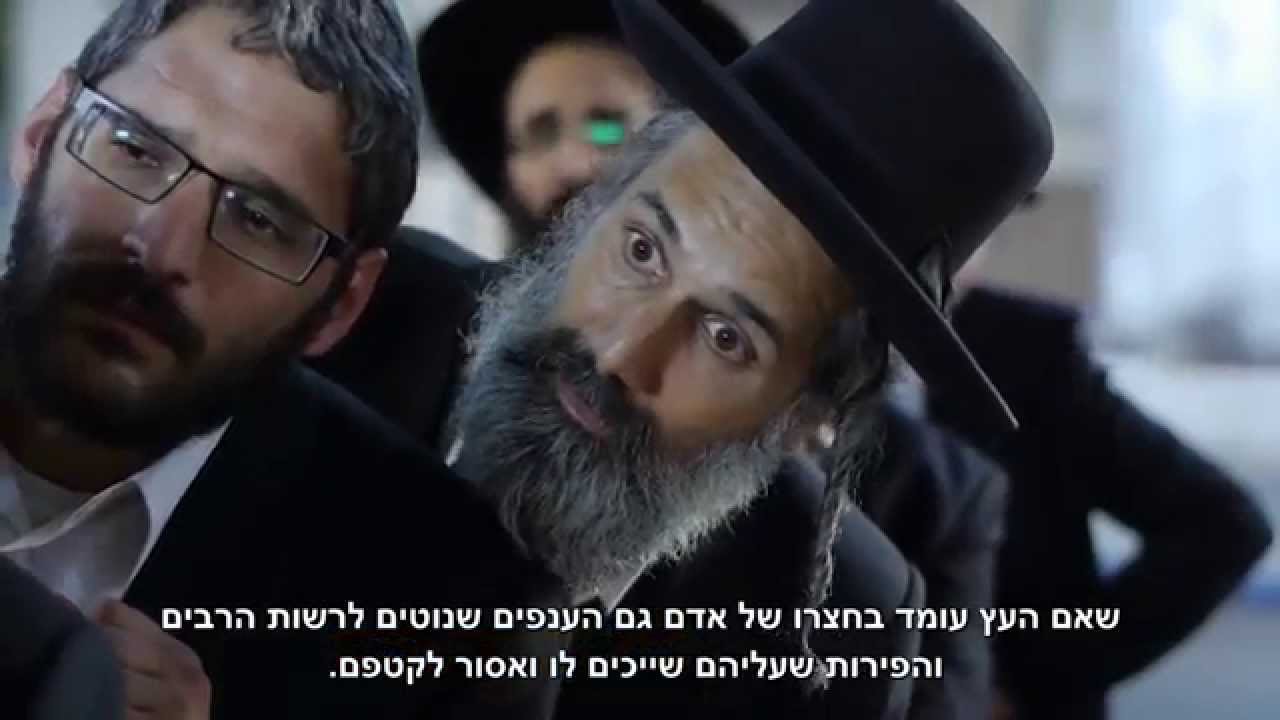 המחשב התורני של בזק