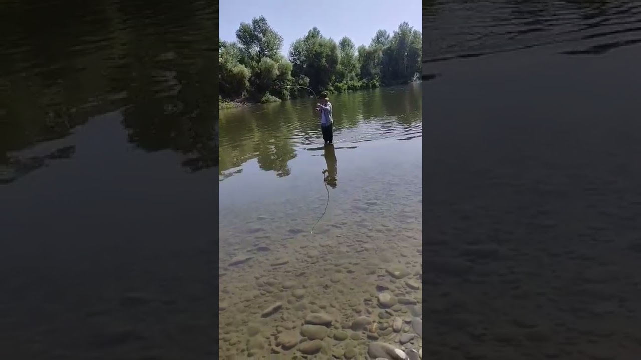 ხავსით თევზაობა,
