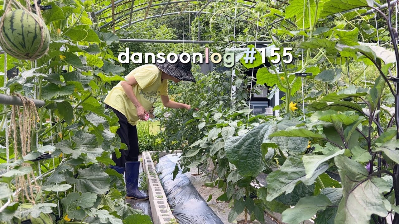 SUB 단순로그155 무더위에 밥하기 너무 귀찮지만 열심히 집밥은 해 먹는 vlog