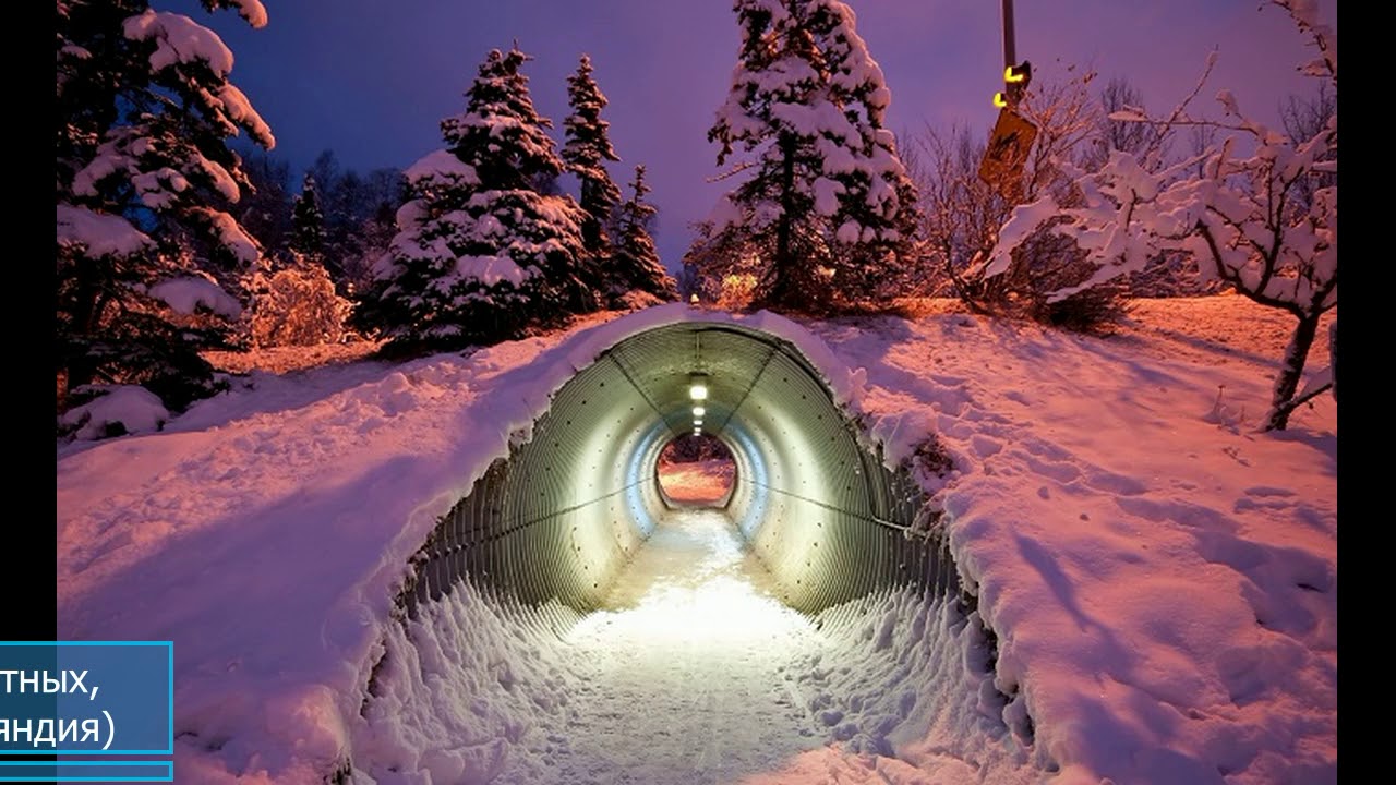 25 красивейших экодуков со всего мира