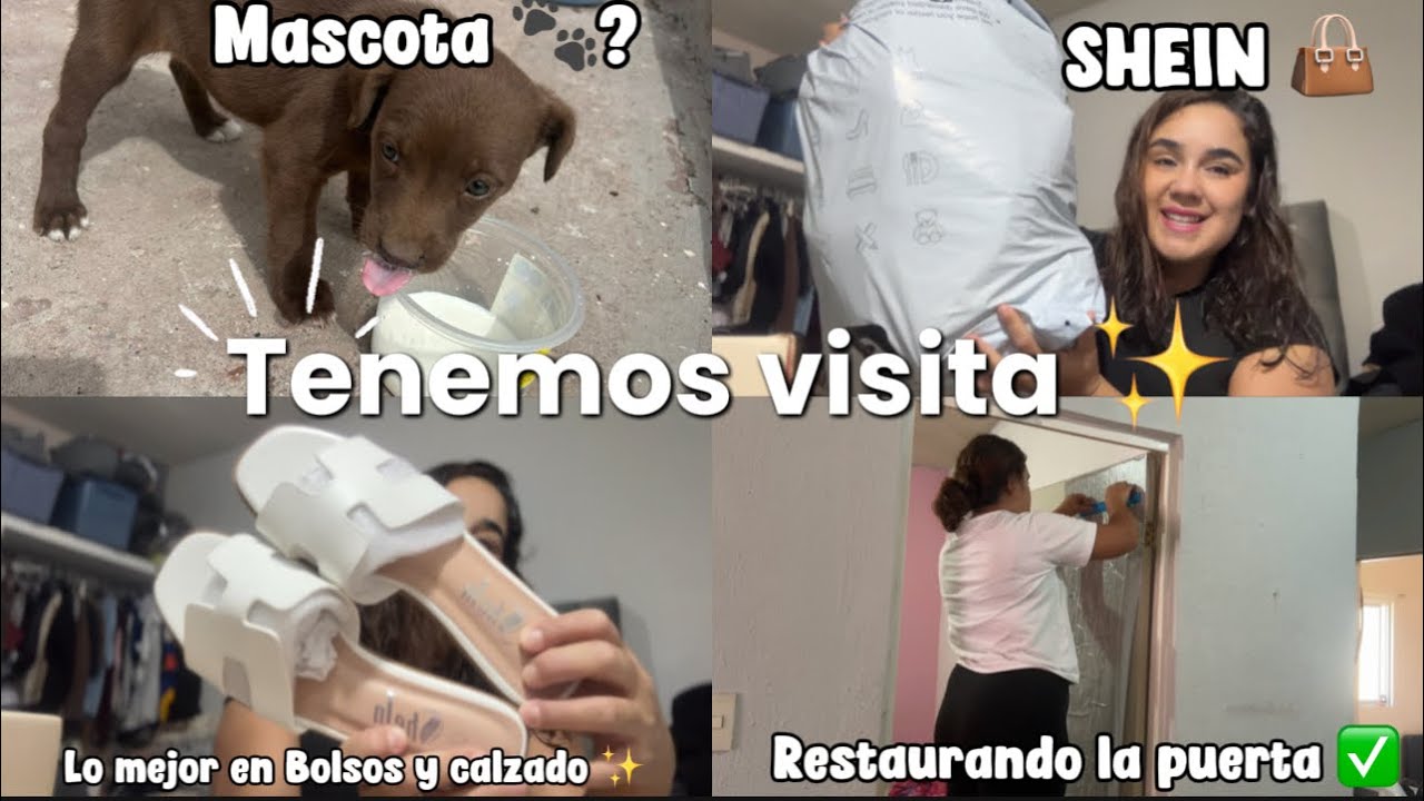 Solo Ilusión 🥹🐾/ @SHEINOFFICIAL  calzado y bolsos ✨/ puertas Como Nuevas ✅