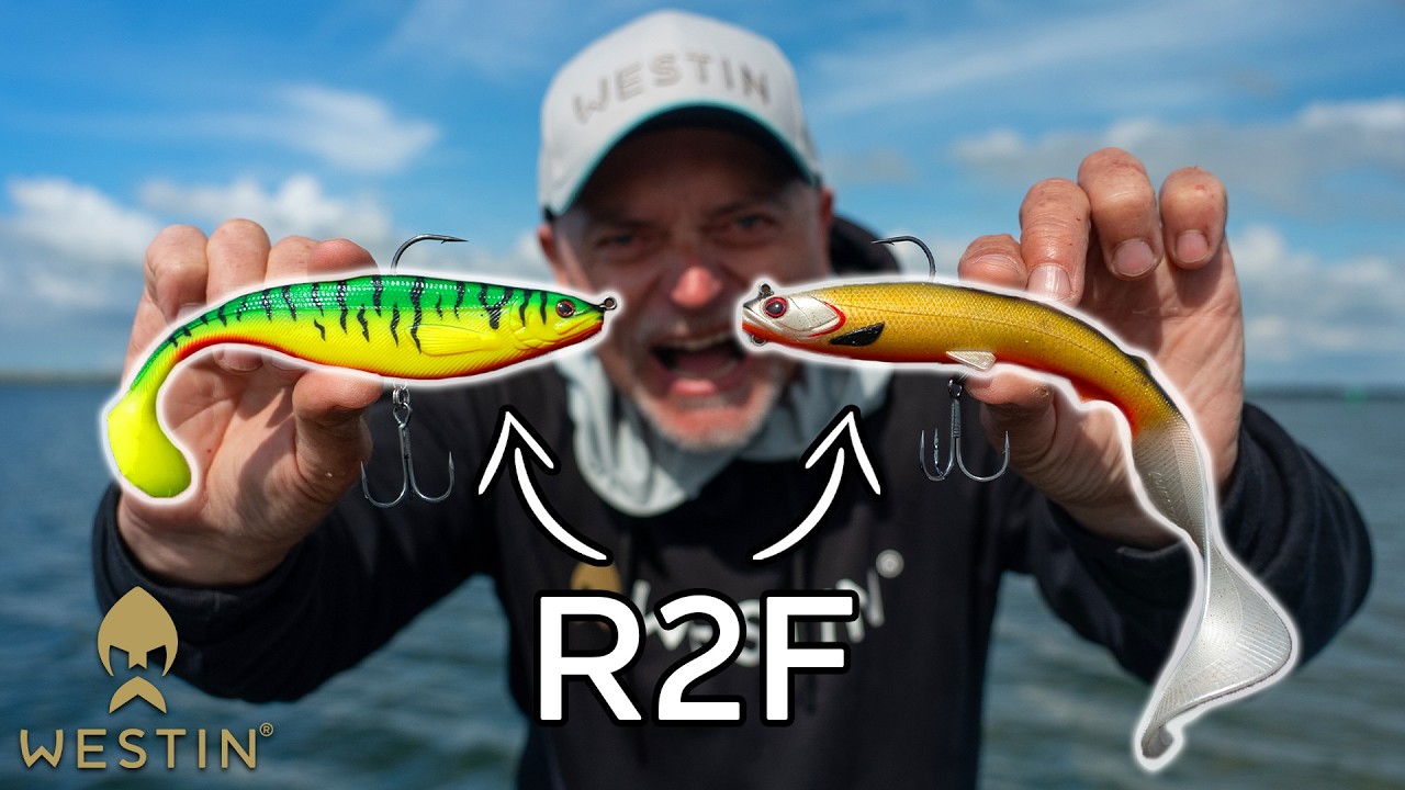 Einfach auf Raubfisch! Mit den 