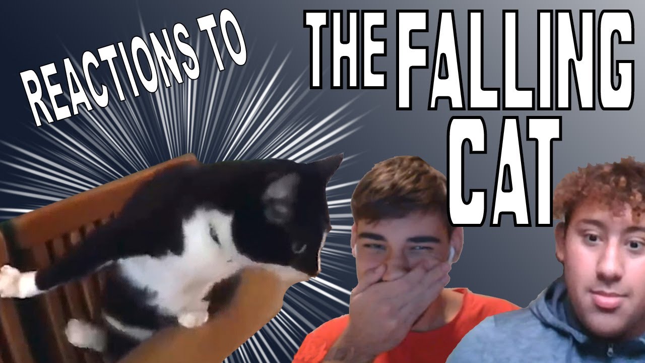 The falling cat *omegle prank*