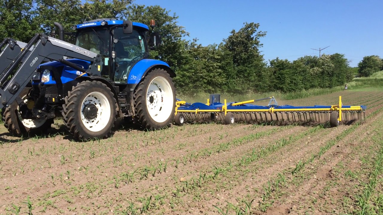 Treffler TS Precision Tine Harrow in corn
