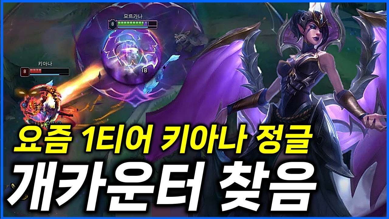 요즘 개사기 1티어 키아나 정글 카운터 찾았습니다.