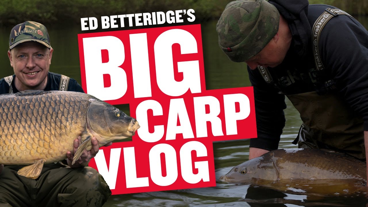 Fishing for Big Carp at Wellington Country Park | Ed Betteridge | Carp Fishing 2024