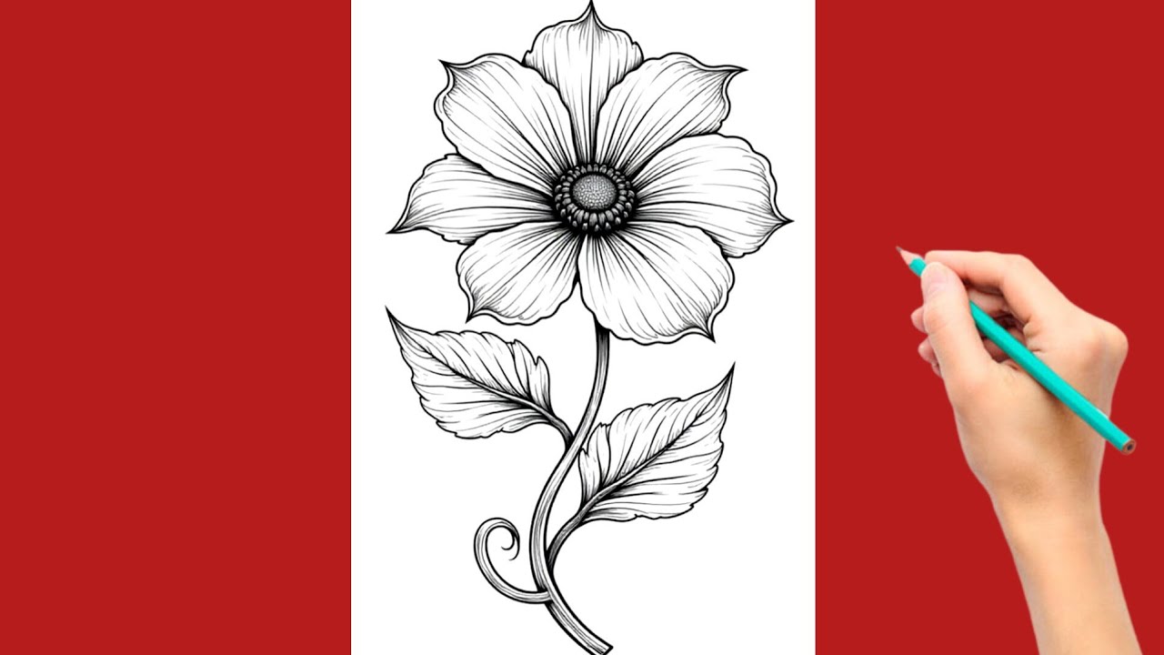 How to Draw Flowers Easily | Simple Flower Drawing for Beginners