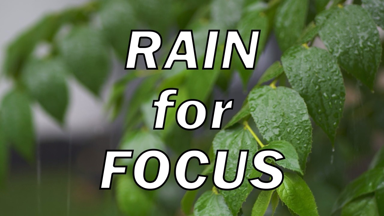 Soft Rain & Falling Leaves in Daylight 🍂 Calm Nature Sounds for Relaxation (1 Hour)