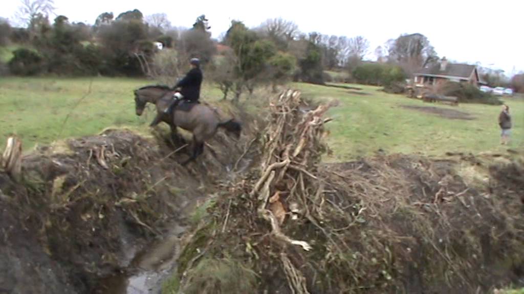 South County Dublin Hunt