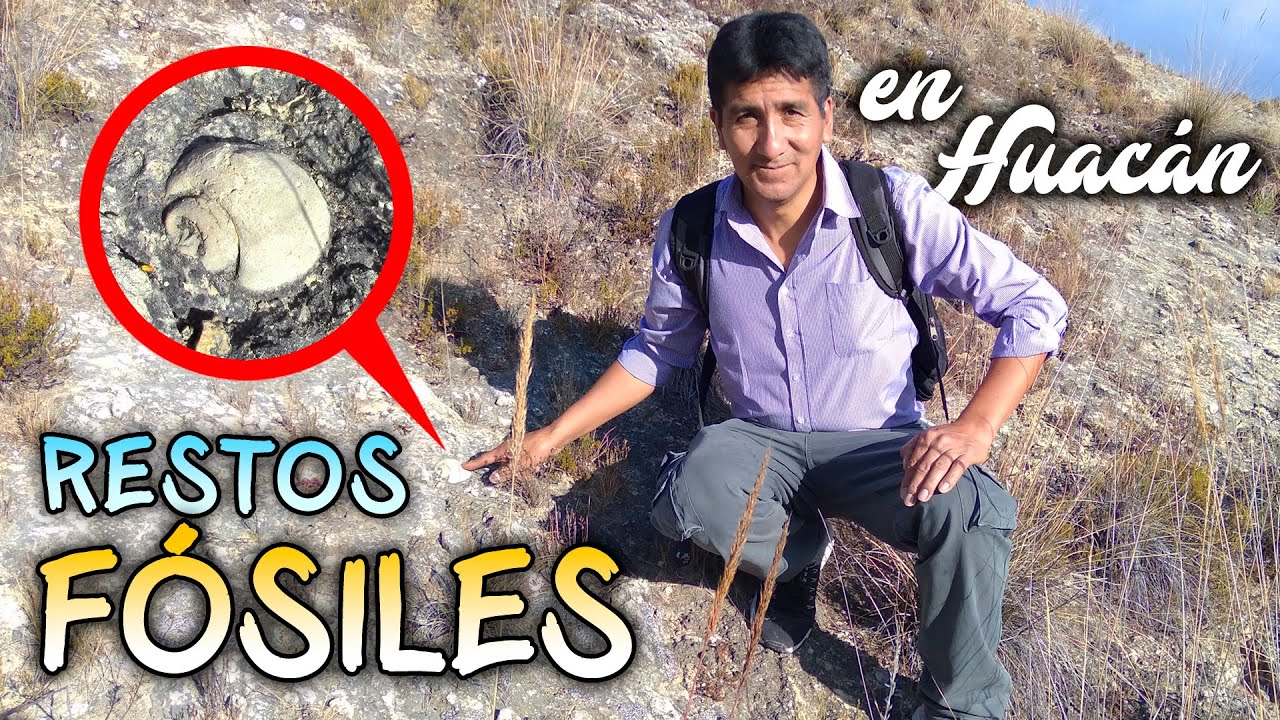RESTOS FÓSILES MARINOS en Huacán | VLOG CANIPACO 2022