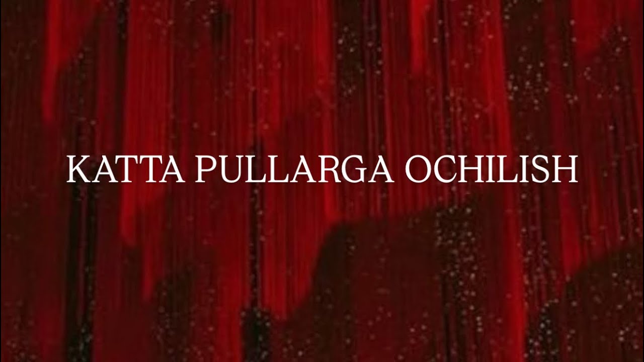 Katta boylikka ochilish