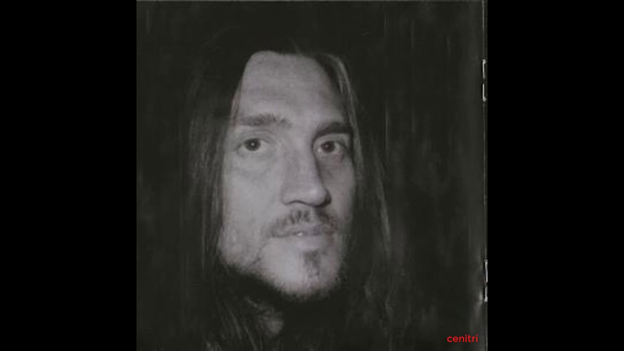 John Frusciante Interview (Shadows Collide With People Era)