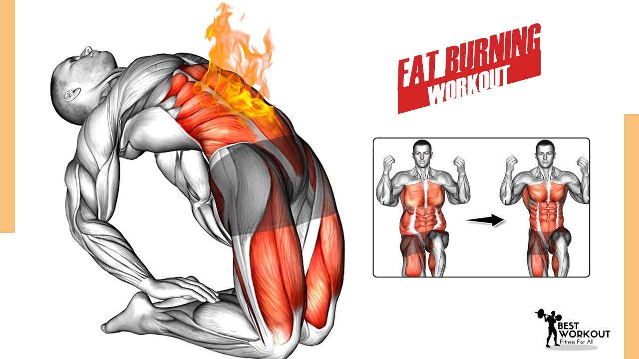 Full Body HIIT 15 Min Burn Fat At Home No Equipment