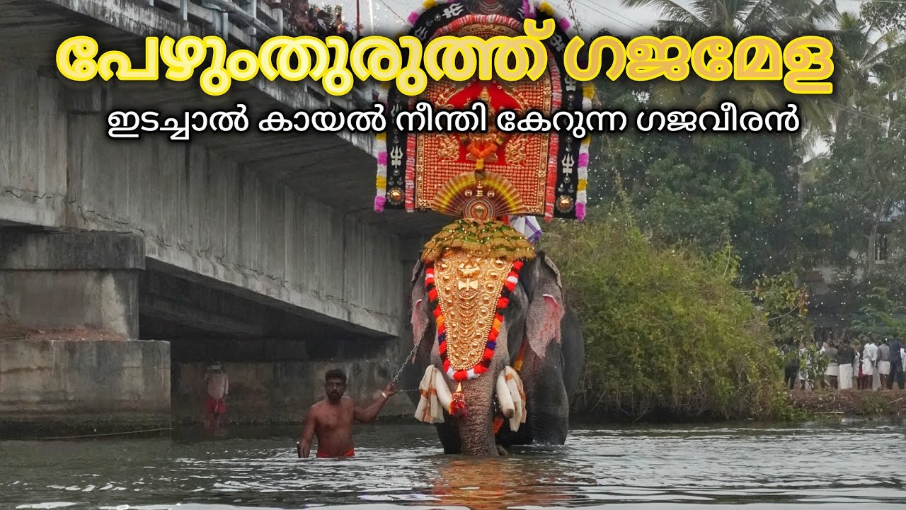 Pezhumthuruthu Gajamela / പേഴുംതുരുത്ത് ഗജമേള / ഇടച്ചാൽ കായൽ നീന്തി കേറുന്ന ഗജവീരൻ #kollam #ulsavam