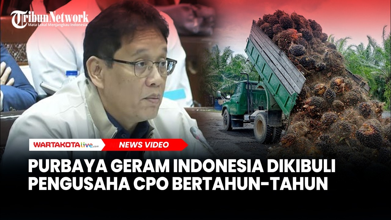 Purbaya Geram Indonesia Dikibuli Pengusaha CPO Bertahun-tahun