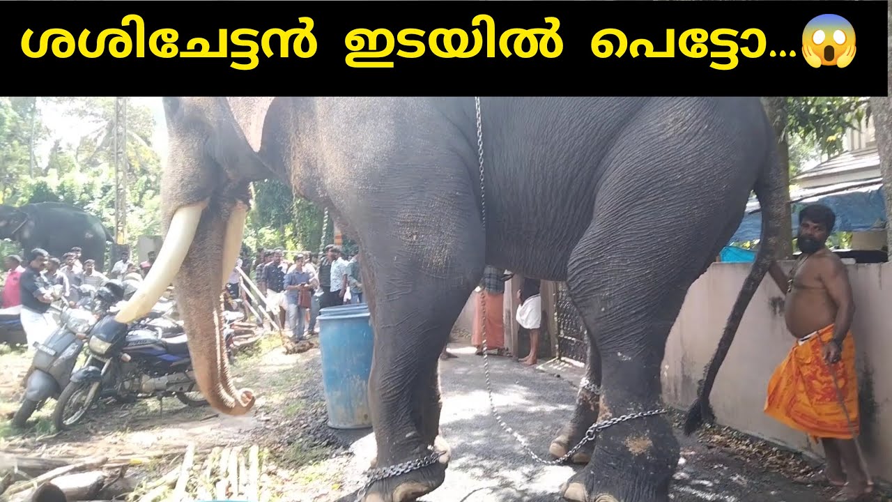 Thiruvambady Chandrashekaran ll ചന്ദ്രു തിരിഞ്ഞപ്പോൾ ശശിചേട്ടൻ പുറകിൽ പെട്ടു