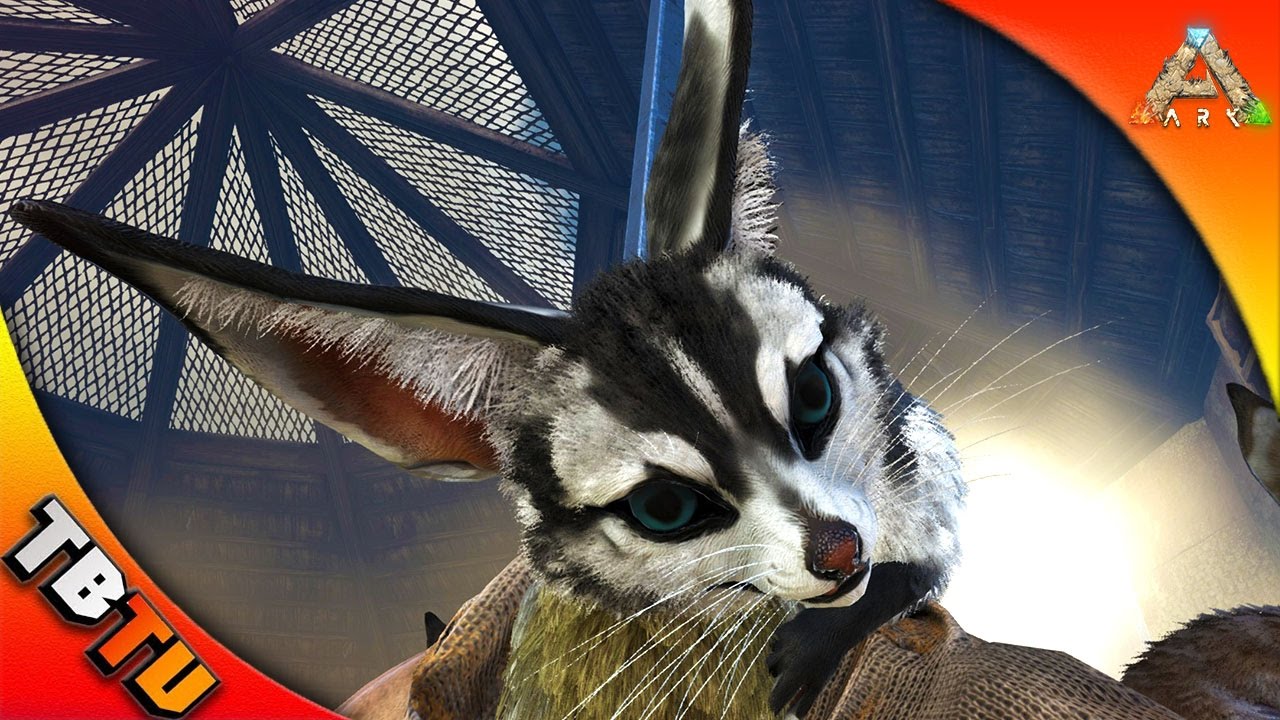 JERBOA LOVE SHACK! JERBOA BREEDING! ARK SURVIVAL SCORCHED EARTH