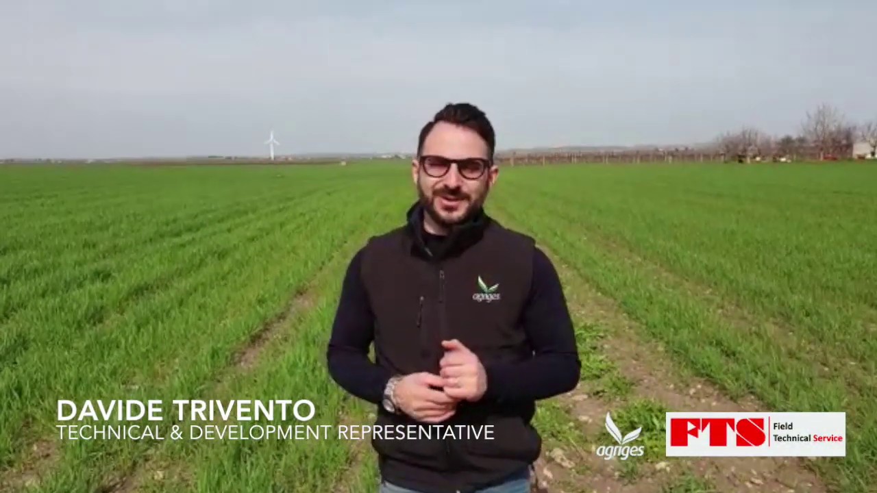 Grano duro con i microgranulari Agriges