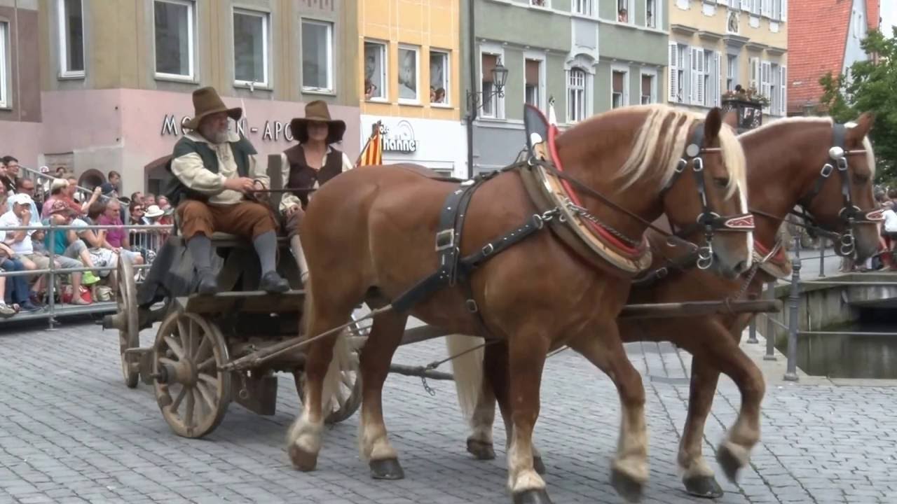 Einzug Wallenstein in Memmingen 2016 Teil 1