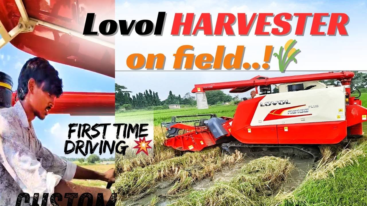 First day first time driving || Lovol Harvester on field 🌾