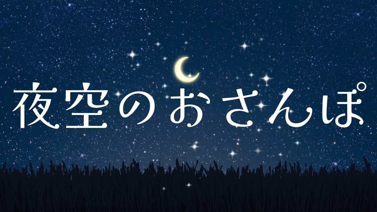 『夜空のおさんぽ』　Birds