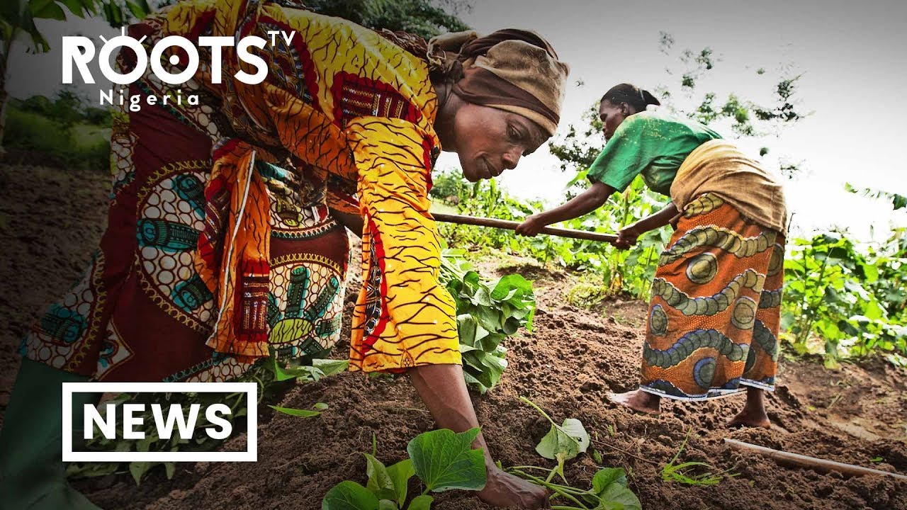 FG’s Gender Policy In Agriculture To Favour Women
