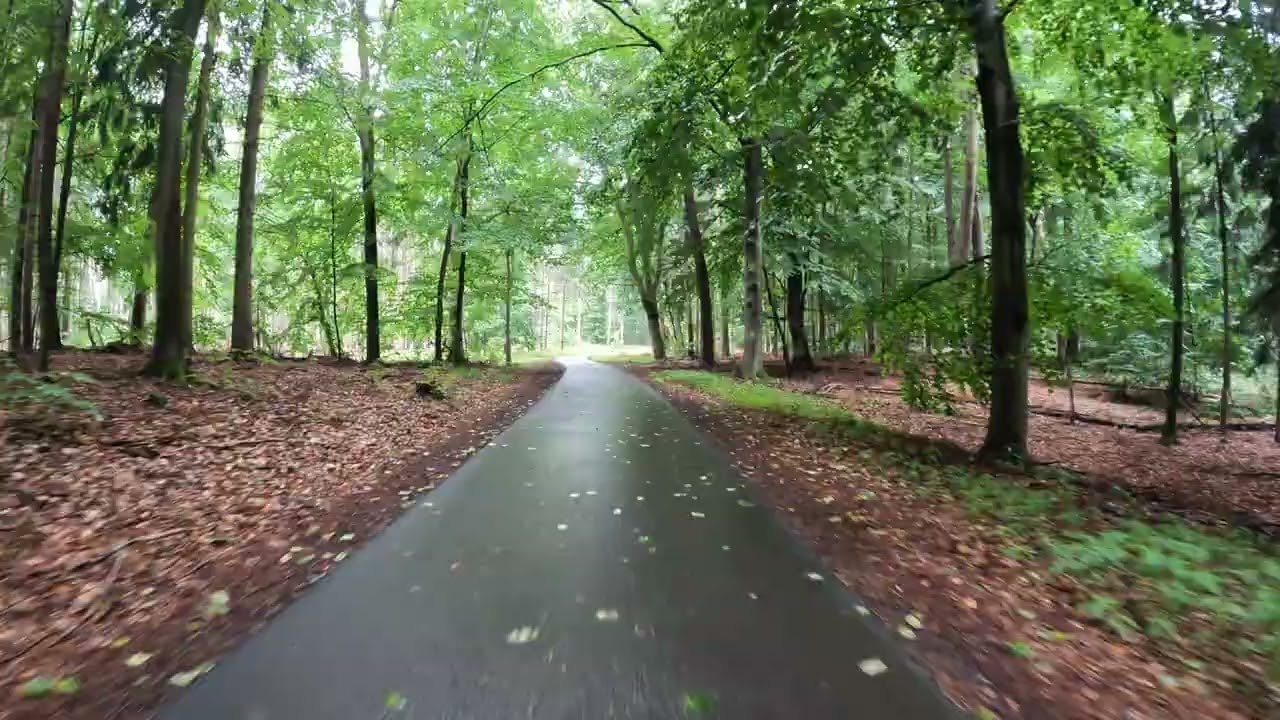 Ein wenig durch die Gegend radeln, Wolletzsee 4/ 4