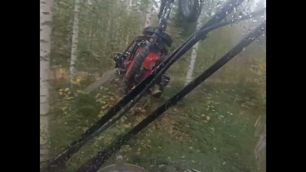 Komatsu 911.5 koivikko harvennus