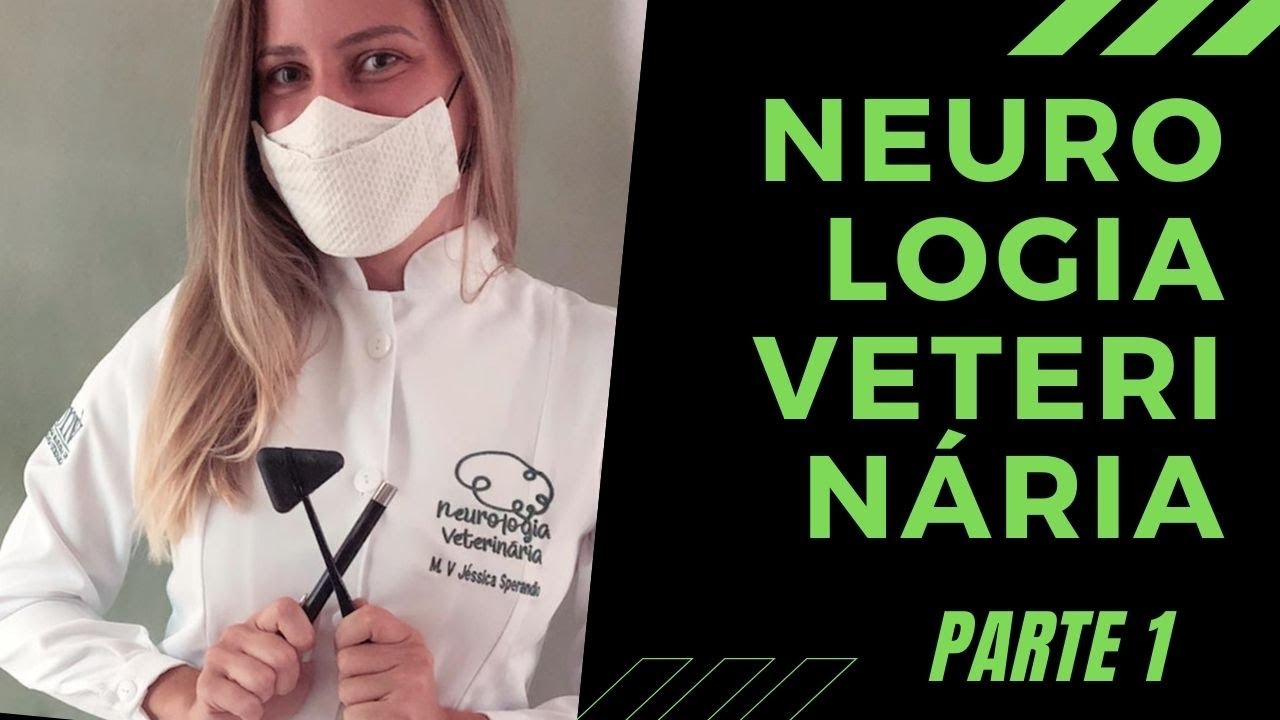 Doenças neurológicas em cães e gatos - Parte 1