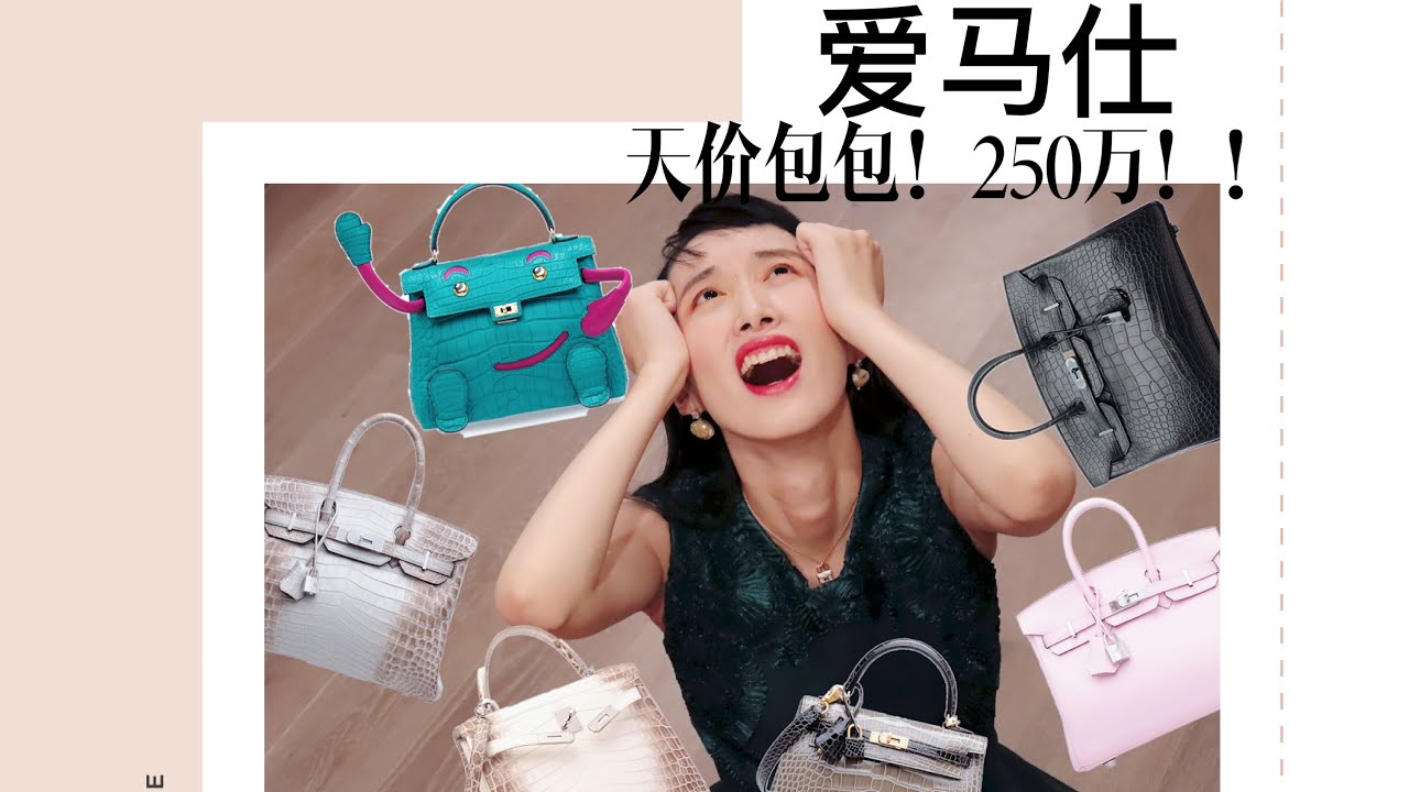 《三十而已》的C位太太的喜玛拉雅爱马仕铂金包包要250万？！！传说中的喜玛拉雅钻扣包到底多少钱？来看看爱马仕都拍出了怎么逆天价格！HERMÈS HIMALAYA DIAMOND BIRKIN