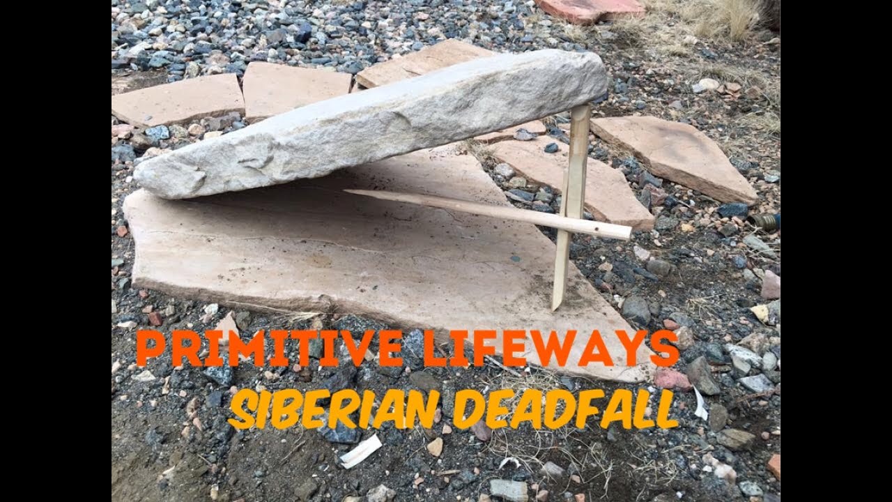 Siberian Deadfall Trap