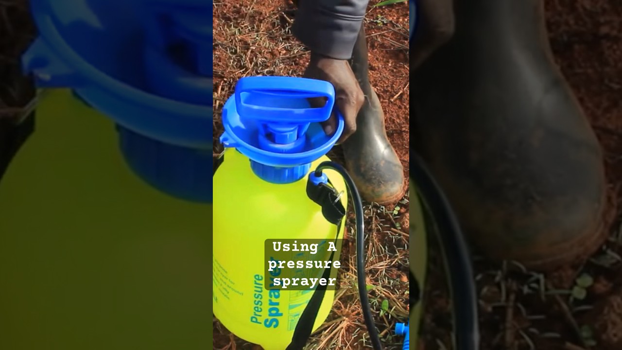 Directions on how to use a pressure sprayer