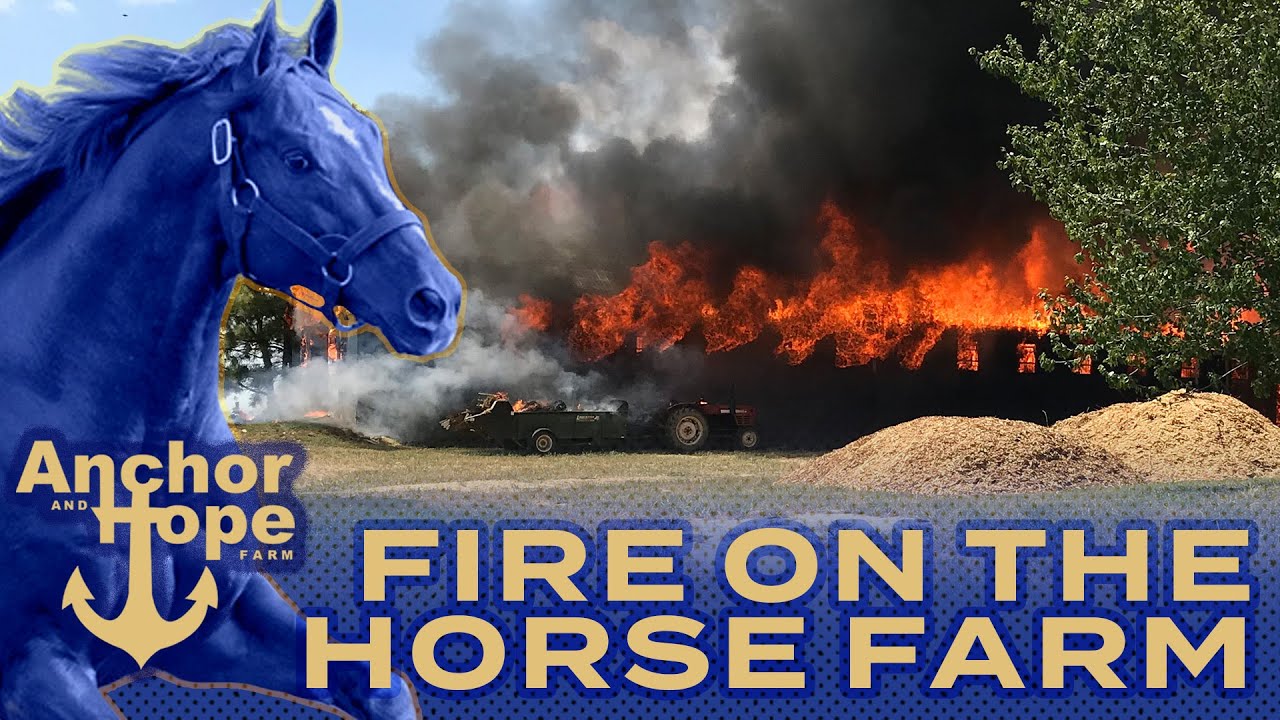 The Barn Fire at Horse Farm: Heather saves lives!