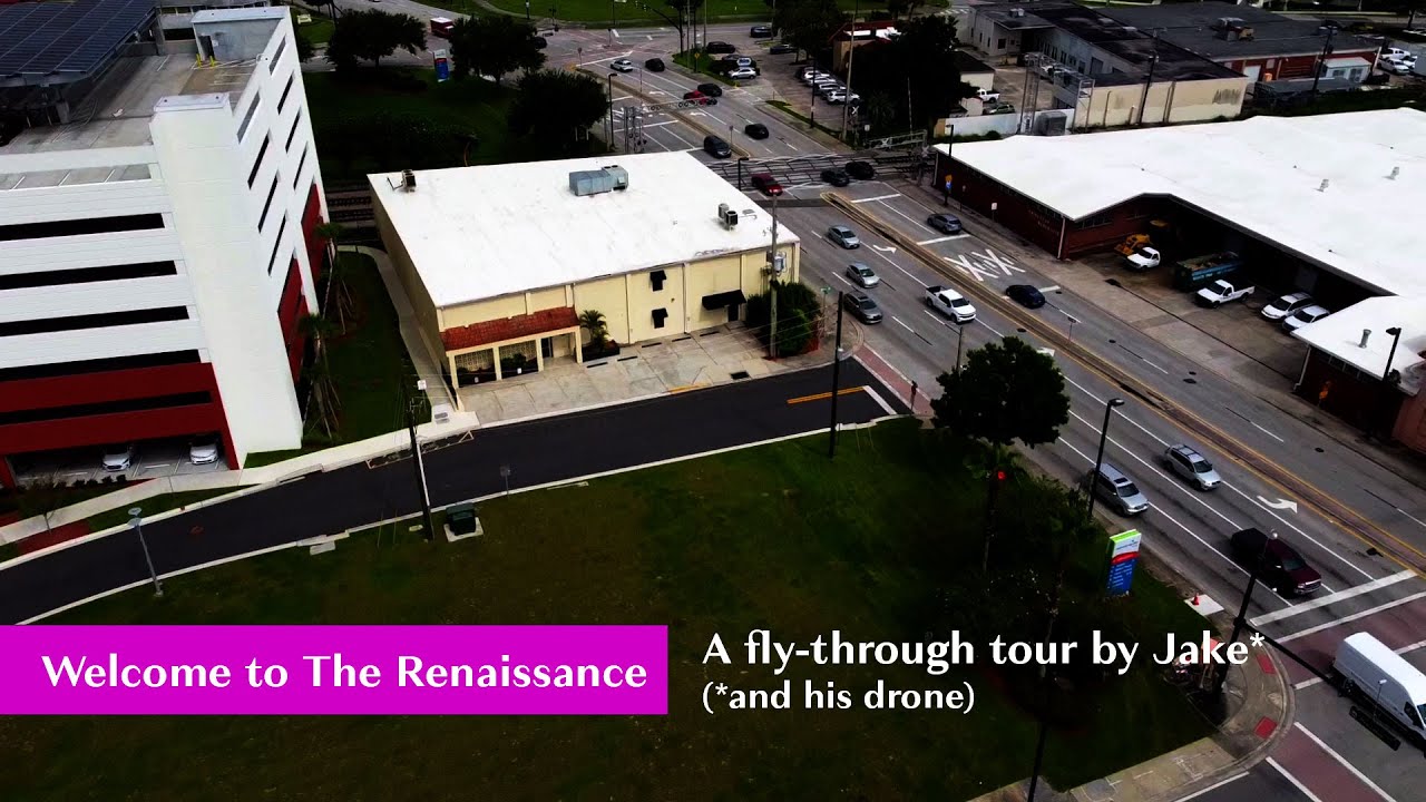 Welcome to The Renaissance