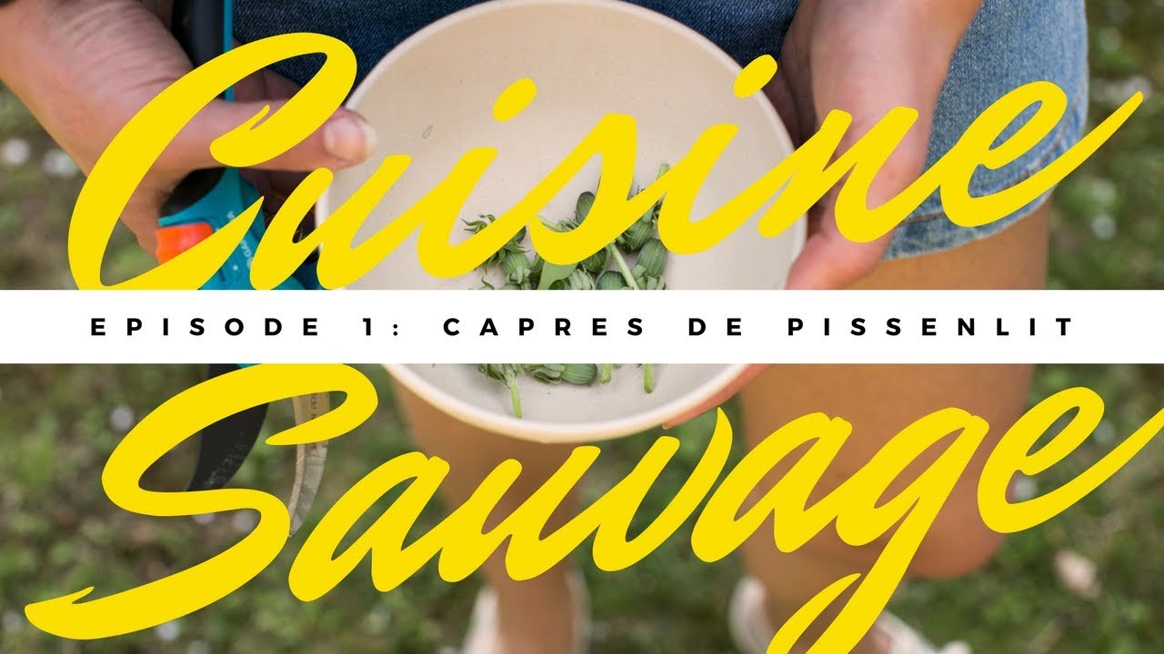 C&acirc;pres de pissenlit - Cuisine sauvage - #Episode1