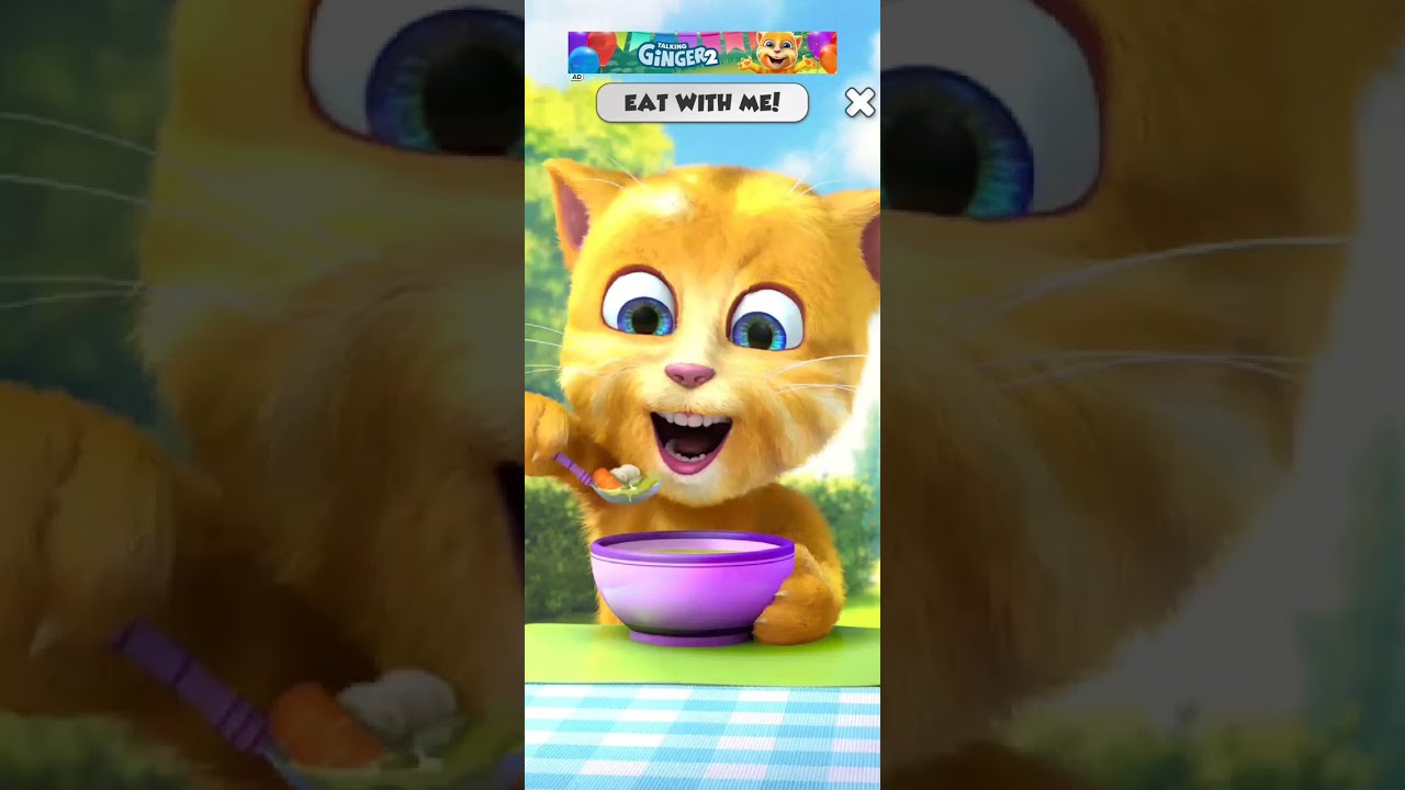 My Talking Ginger 2 funny moments videos ||| 😺😻🐈😺