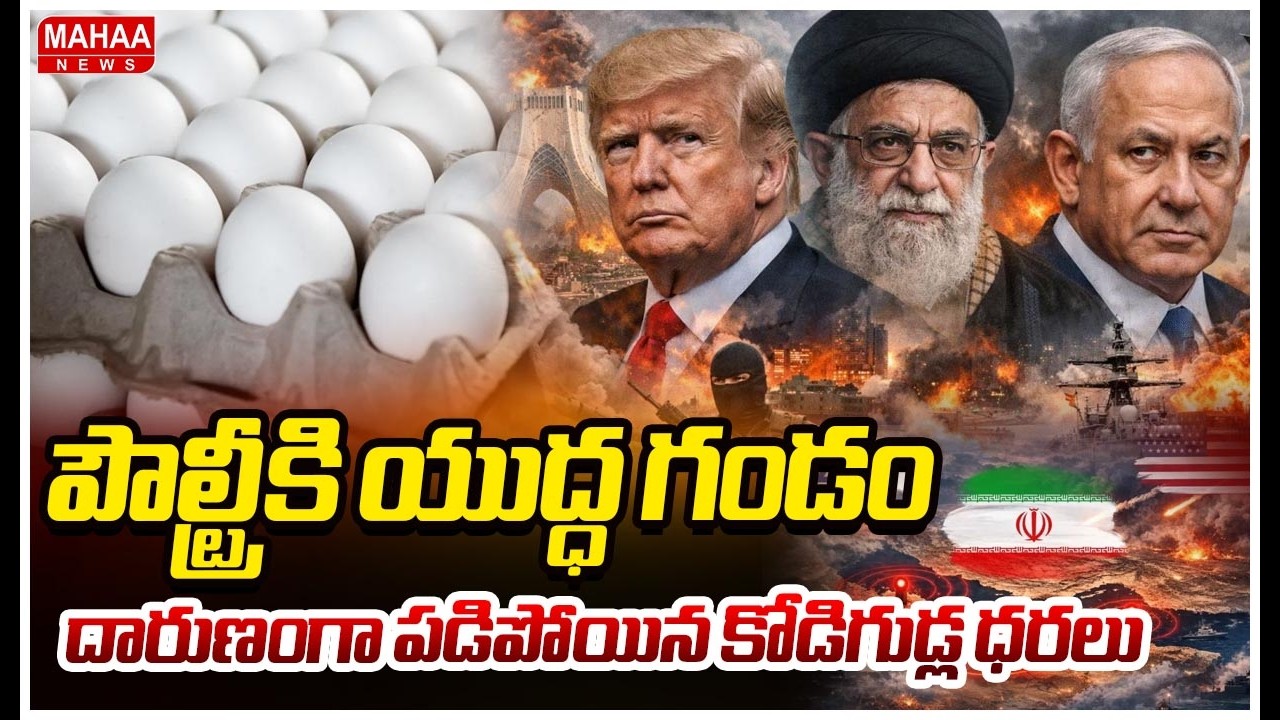 పౌల్ట్రీకి యుద్ధ గండం.. దారుణంగా పడిపోయిన కోడిగుడ్ల ధరలు | Egg Prices Down Due To War Effect